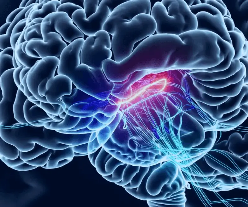 Neuro Energizer Brain Functionality